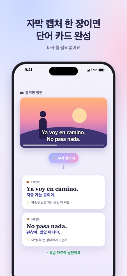 자막 캡처에서 표현을 찾은 화면
